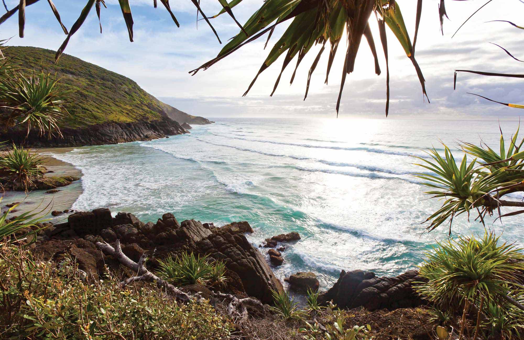 View of beach in Hat Head National Park. Photo: Rob Cleary
