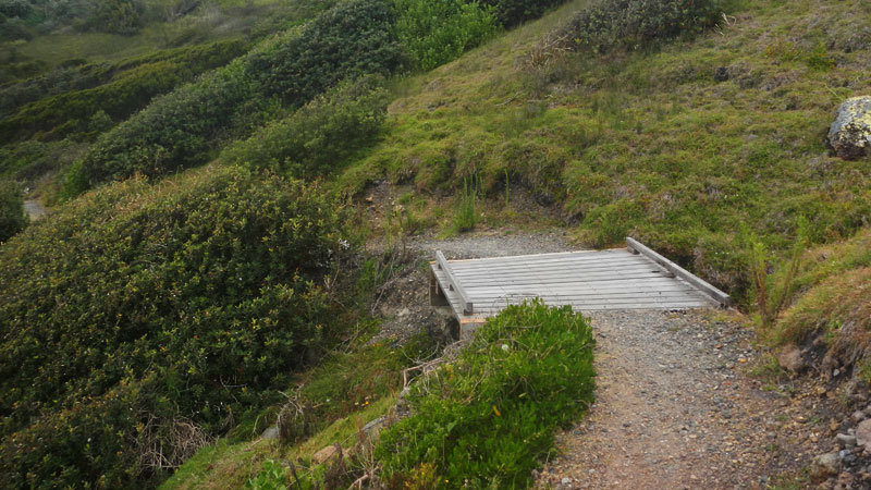Bridge and path of Connors Track. Photo: Debby McGerty