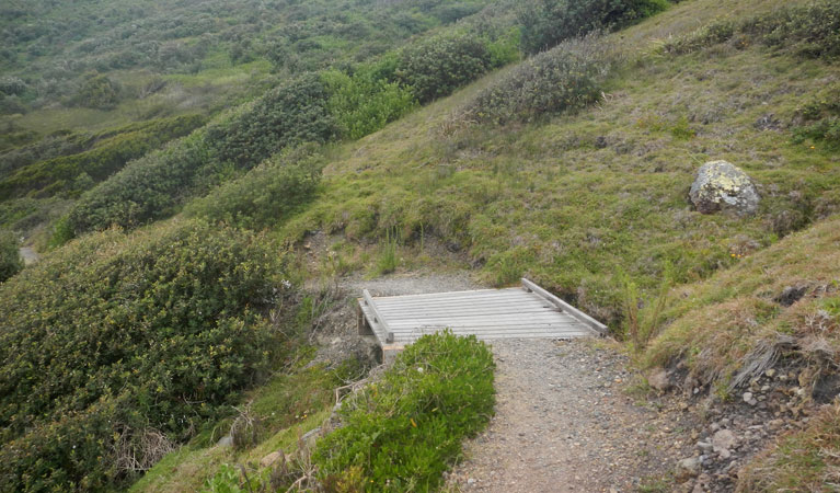 Connors Beach walking track, Hat Head National Park. Photo: Debby McGerty &copy; OEH