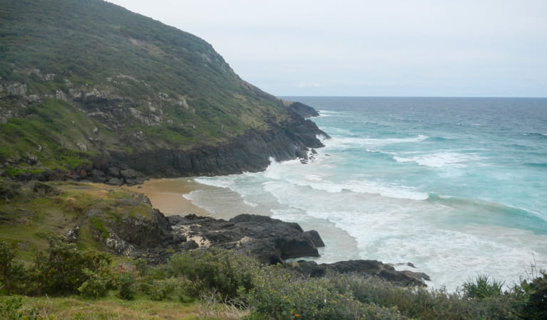 Connors Beach walking track, Hat Head National Park. Photo: Debby McGerty &copy; OEH