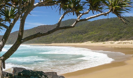 Gap Beach in Hat Head National Park. Photo credit: Barbara Webster &copy; DPIE