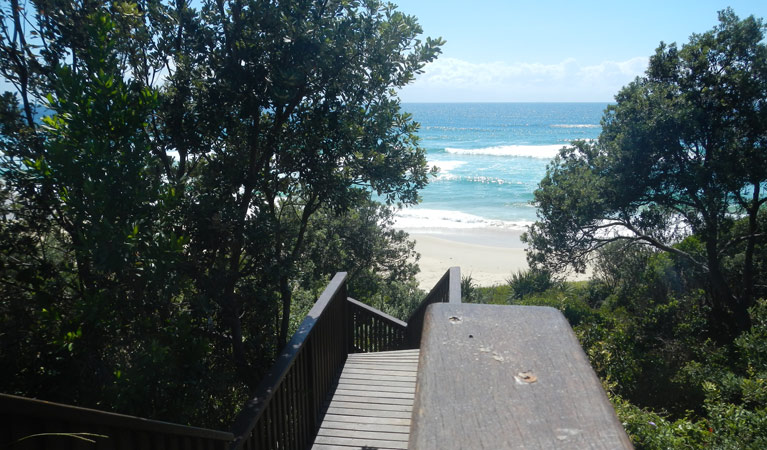 Jack Perkins track, Hat Head National Park. Photo: Debby McGerty &copy; OEH