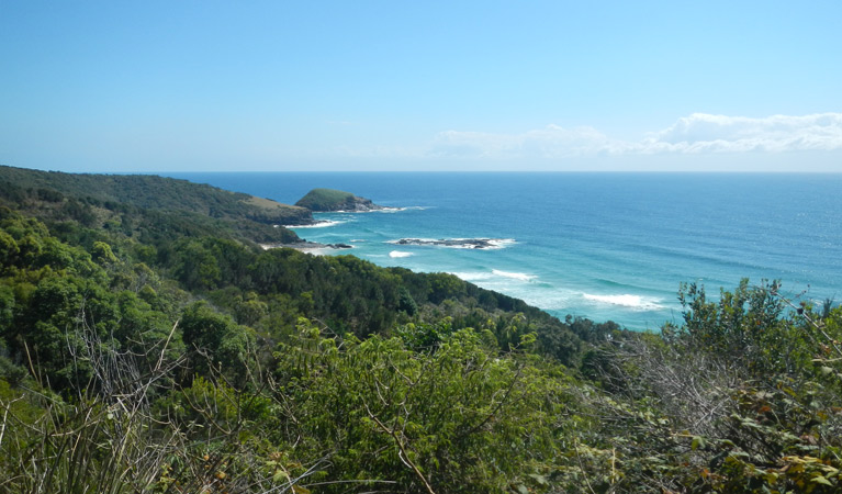 Jack Perkins track, Hat Head National Park. Photo: Debby McGerty &copy; OEH