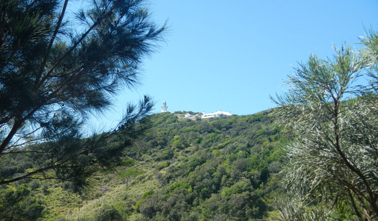 Jack Perkins track, Hat Head National Park. Photo: Debby McGerty &copy; OEH