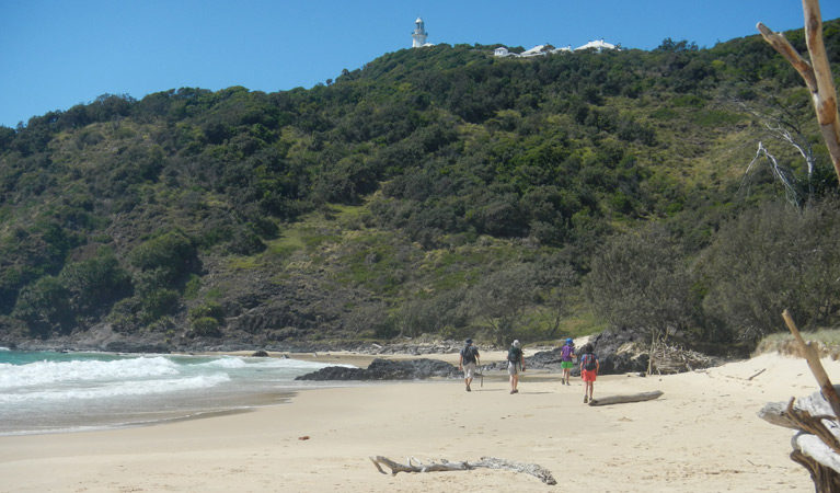 Jack Perkins track, Hat Head National Park. Photo: Debby McGerty &copy; OEH