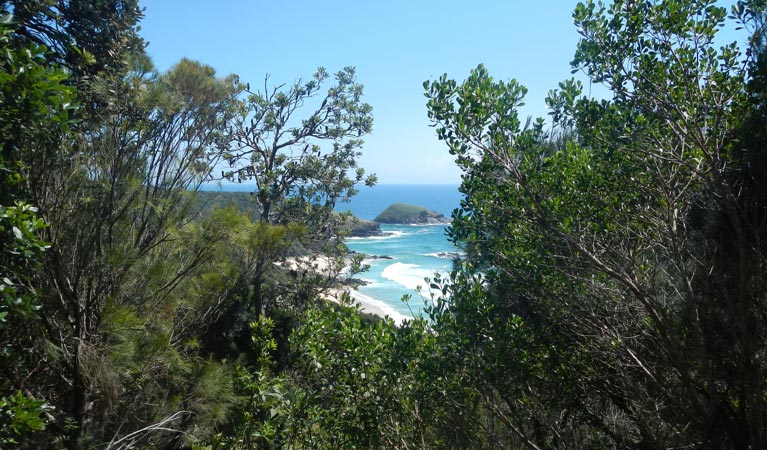 The view through the trees from Jack Perkins track. Photo:  Debby McGerty &copy; OEH