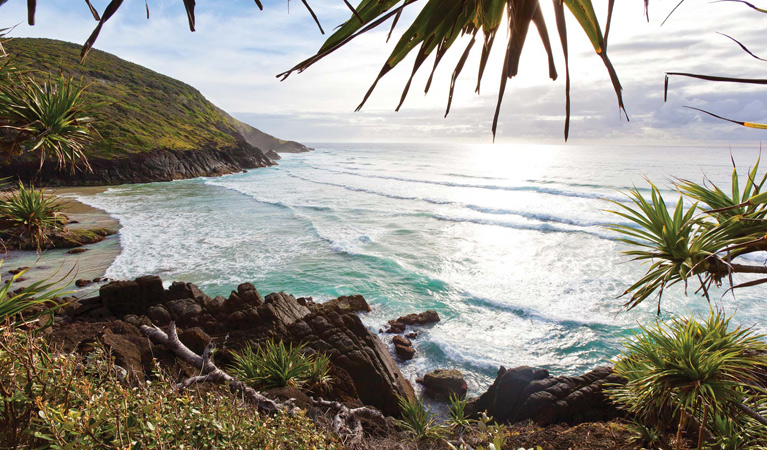 View of beach in Hat Head National Park. Photo: Rob Cleary