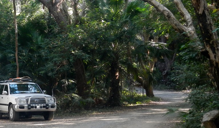 A car parked under trees at Smoky Cape campground in Hat Head National Park. Photo &copy; Debbie McGerty