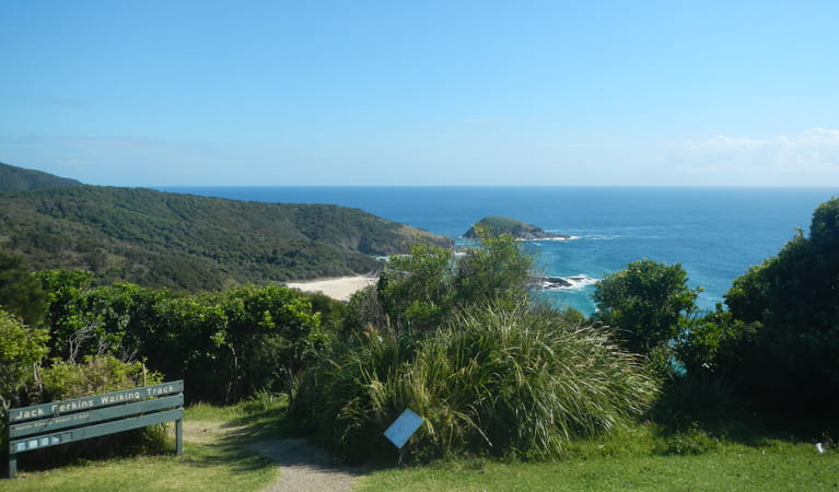 The path from Smoky Cape picnic area to Jack Perkins walking track, Hat Head National Park. Photo: Debby McGerty &copy; NSW Government