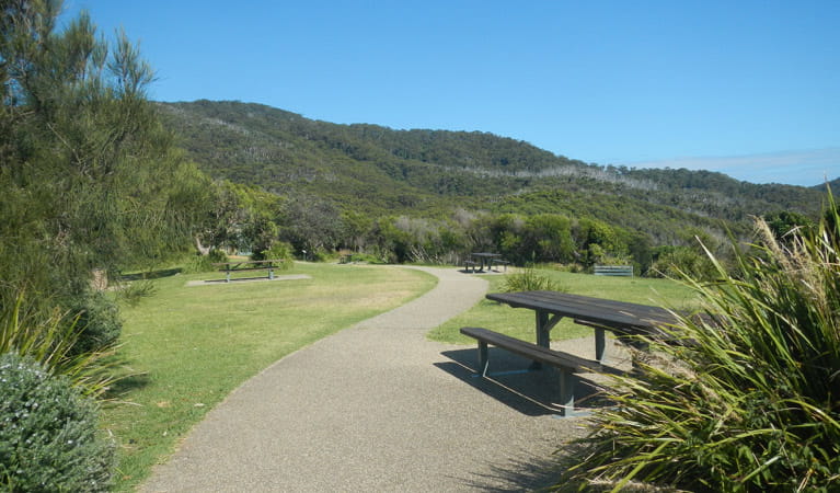The picnic area and picnic tables at Smoky Cape picnic area, Hat Head National Park. Photo: Debby McGerty &copy; NSW Government