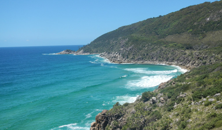 Smoky Cape Range walking track, Hat Head National Park. Photo: Debby McGerty &copy; OEH