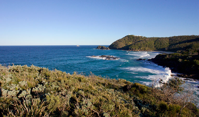 Smoky Cape Walking Track, Hat Head National Park. Photo: Stuart Poignard