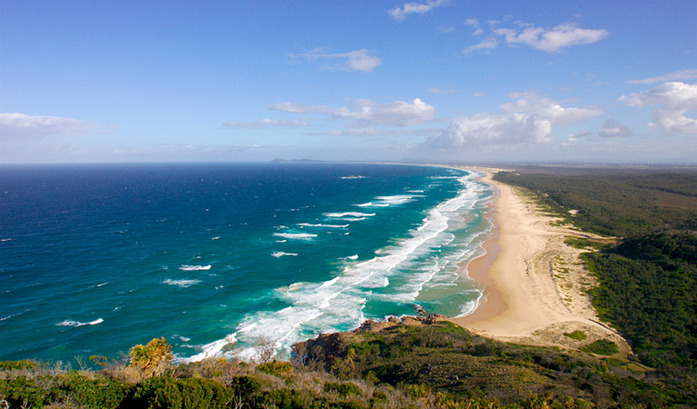 Smoky Cape Walking Track, Hat Head National Park. Photo: Stuart Poignard