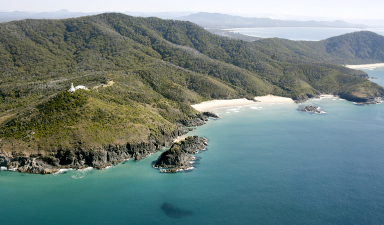 Smoky Cape Walking Track, Hat Head National Park. Photo: Stuart Poignard