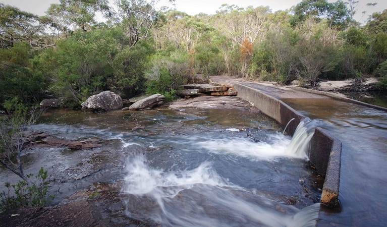 Water flows over concrete Battery Causeway against a backdrop of bushland in Heathcote National Park. Photo: Nick Cubbin/DPIE