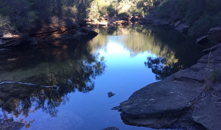 View of shaded rocky ledges and pools along a freshwater creek, fringed by bushland.   Photo: Patricia Nagle/DPIE