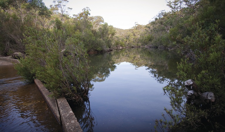 Battery Causeway alongside a still pool of water, surrounded by bushland. Photo: Nick Cubbin/DPIE