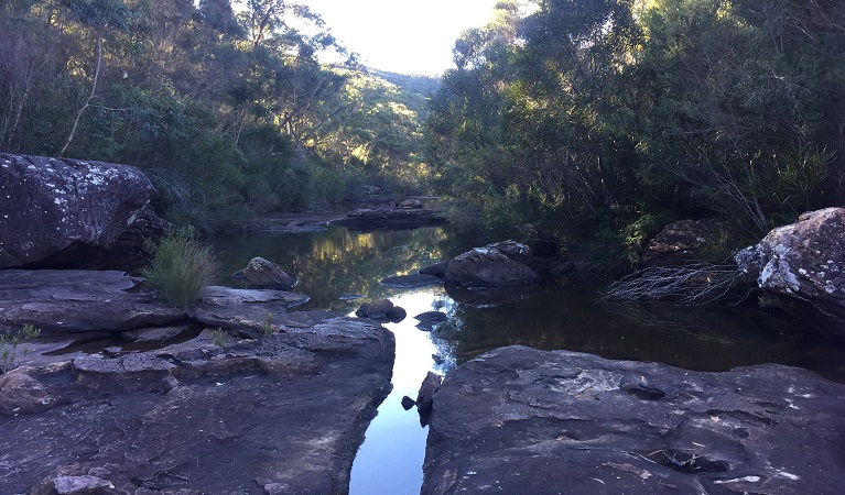 Rock platform with water channel and freshwater pool, set against bushland at Battery Causeway picnic area. Photo: Patricia Nagle/DPIE