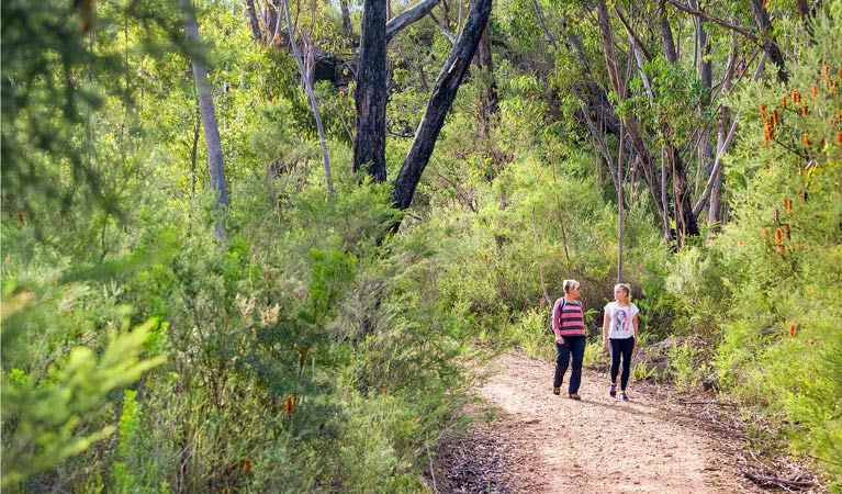 Bullawarring walking track, Heathcote National Park. Photo: Nick Cubbin