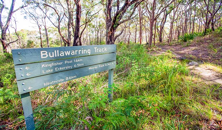 Bullawarring walking track, Heathcote National Park. Photo: Nick Cubbin &copy; OEH