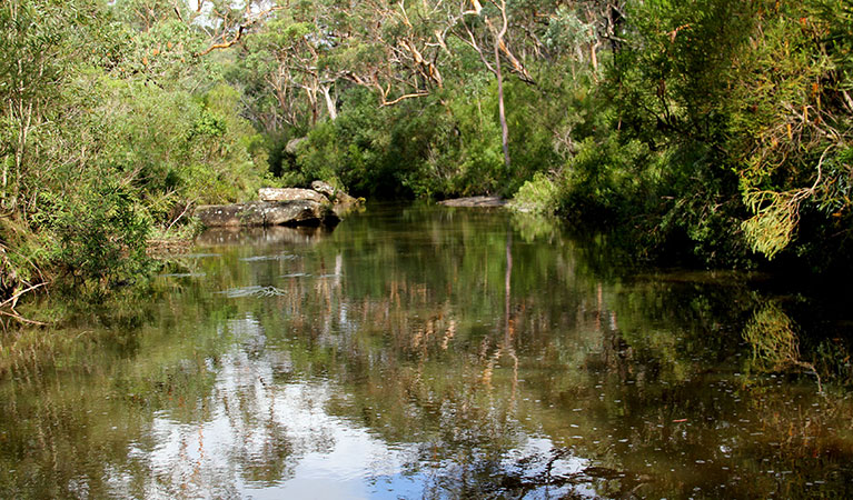 Heathcote Creek surrounded by bushland in Heathcote National Park. Photo: John Yurasek &copy; DPIE