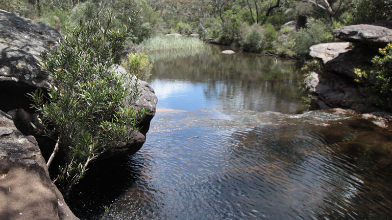 Heathcote to Waterfall trail, Heathcote National Park. Photo: &copy; Andy Richards