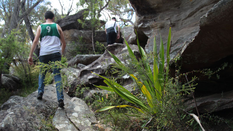 Heathcote to Waterfall trail, Heathcote National Park. Photo: Andy Richards