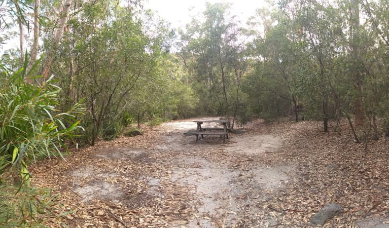A picnic table in a clearing at Kingfisher Pool campground in Heathcote National Park. Photo: Jodie McGill &copy; DPIE