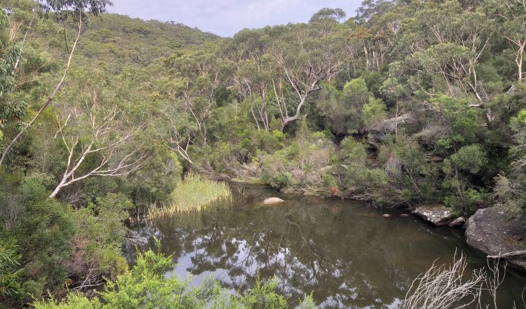 Kingfisher Pool in Heathcote National Park. Photo: Jodie McGill &copy; DPIE