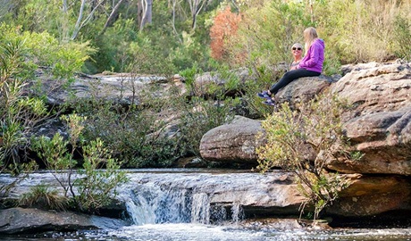 Kingfisher Pool picnic area, Heahtcote National Park. Photo: Nick Cubbin