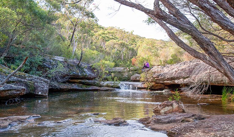 Kingfisher Pool picnic area, Heahtcote National Park. Photo: Nick Cubbin &copy; OEH