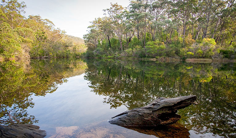 Lake Eckersley campground, Heathcote National Park. Photo: Nick Cubbin