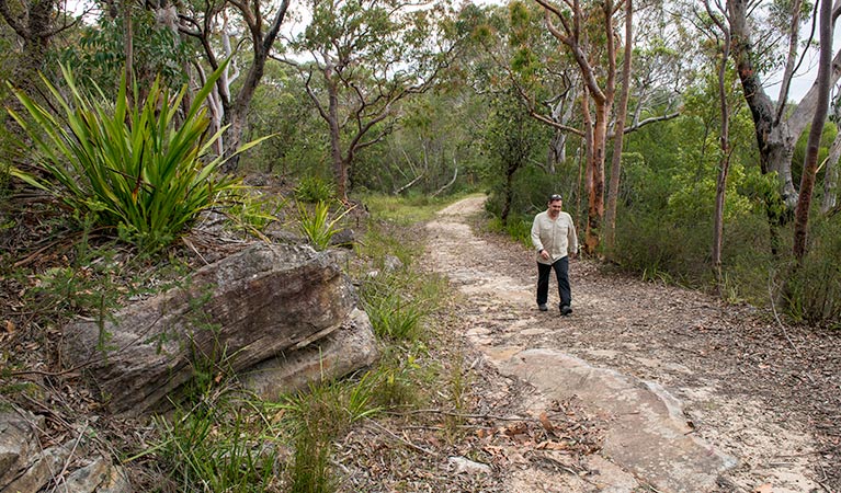 Lake Toolooma trail, Heathcote National Park. Photo: John Spencer &copy; OEH