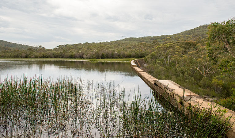 Lake Toolooma trail, Heathcote National Park. Photo: John Spencer &copy; OEH