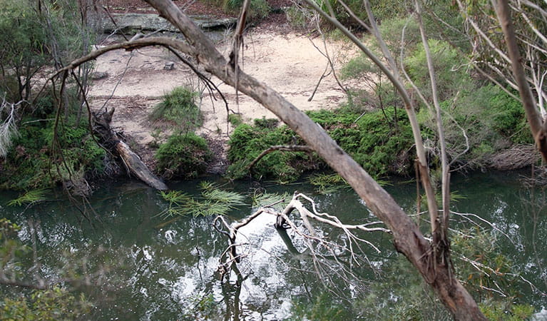 Mirang Pool campground in Heathcote National Park. Photo: Nick Cubbin/DPIE