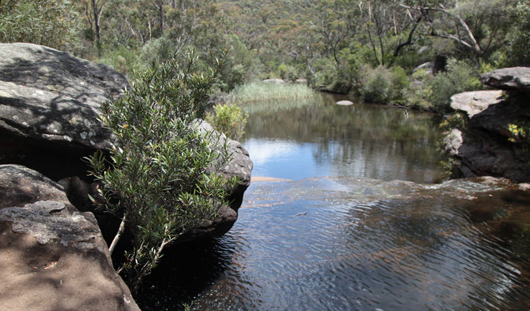 Mirang Pool campground, Heathcote National Park. Photo: Andrew Richards/DPIE