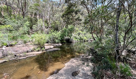 Beautiful clear Mirang pool in Heathcote National Park. Credit: Natasha Webb &copy; DCCEEW/Natasha Webb