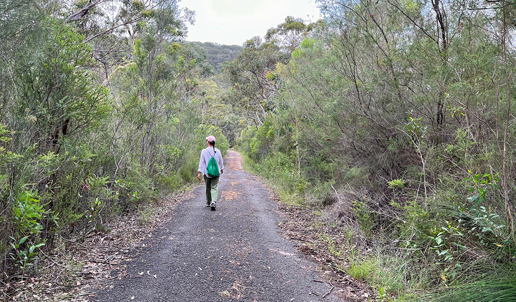 Person on the tree-lined walking track to Mirang pool, Heathcote National Park. Credit: Natasha Webb &copy; DCCEEW/Natasha Webb