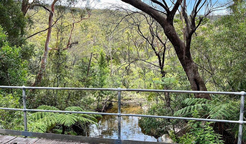 View of a rainforest gully and river from Pipeline trail to Mirang Pool in Heathcote National Park. Credit: Natasha Webb &copy; DCCEEW/Natasha Webb 
