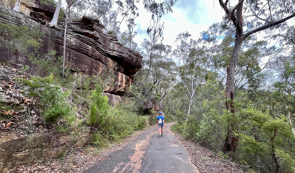 Rocky wall by walking track to Mirang pool, Heathcote National Park. Credit: Natasha Webb &copy; DCCEEW/Natasha Webb