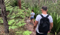 Family bushwalking on Mooray track near ferns and gymea lillies. Photo credit: Natasha Webb