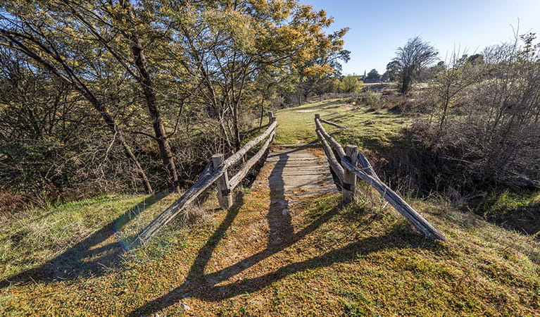 Bald Hill walking track, Hill End Historic Site. Photo: John Spencer/OEH