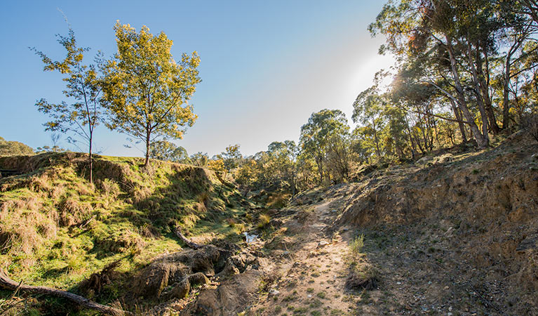 Bald Hill walking track, Hill End Historic Site. Photo: John Spencer &copy; OEH