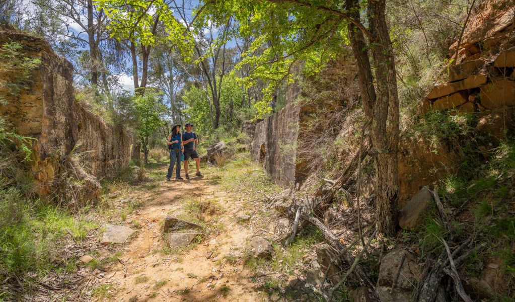 Two walkers admire the bushland scenery along Ball Hill walking track at Hill End Historic Site. Photo: John Spencer/DCCEEW &copy; DCCEEW