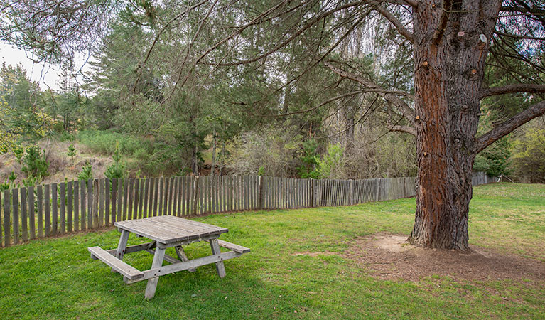 Bill Lyles Reserve picnic area, Hill End Historic Site. Photo: John Spencer