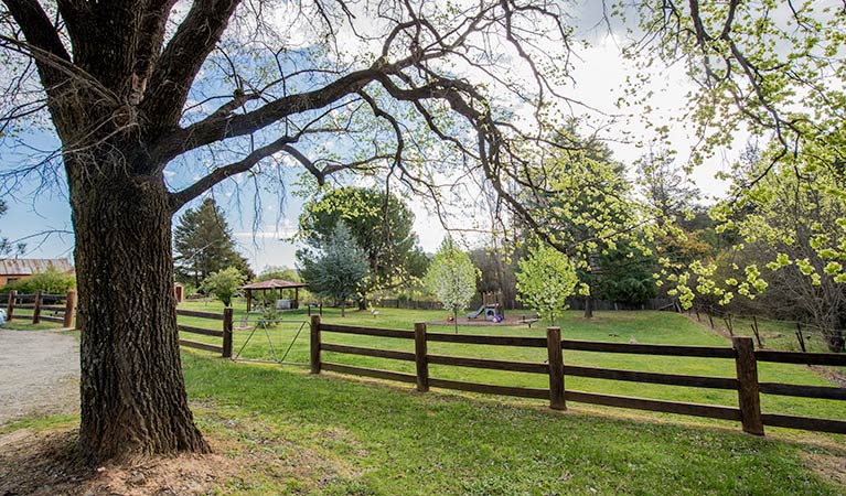 Bill Lyles Reserve picnic area, Hill End Historic Site. Photo: John Spencer