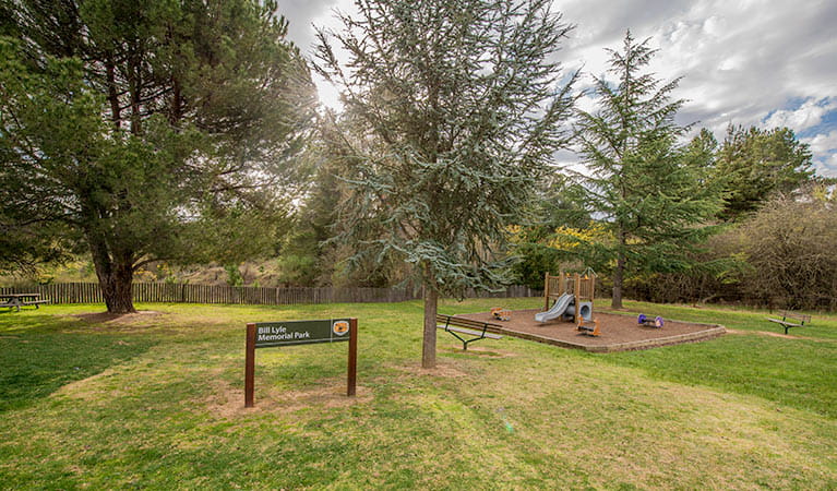 Bill Lyles Reserve picnic area, Hill End Historic Site. Photo: John Spencer