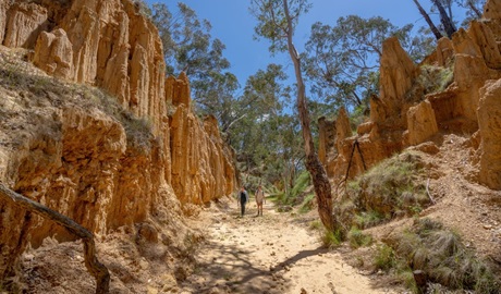 Two people walk between the towering soil formations of Golden Gully waking track at Hill End Historic Site. Photo: John Spencer/DCCEEW &copy; DCCEEW