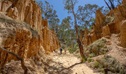 Two people walk between the towering soil formations of Golden Gully waking track at Hill End Historic Site. Photo: John Spencer/DCCEEW &copy; DCCEEW