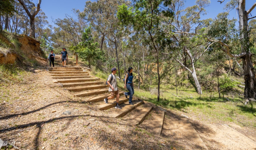 A group of walkers follow steps down through bushland along the trail of Golden Gully waking track at Hill End Historic Site. Photo: John Spencer/DCCEEW &copy; DCCEEW